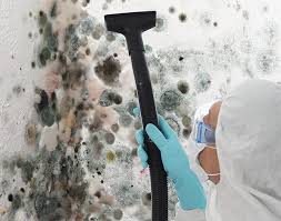  Des C, AR Mold Removal & Remediation Pros